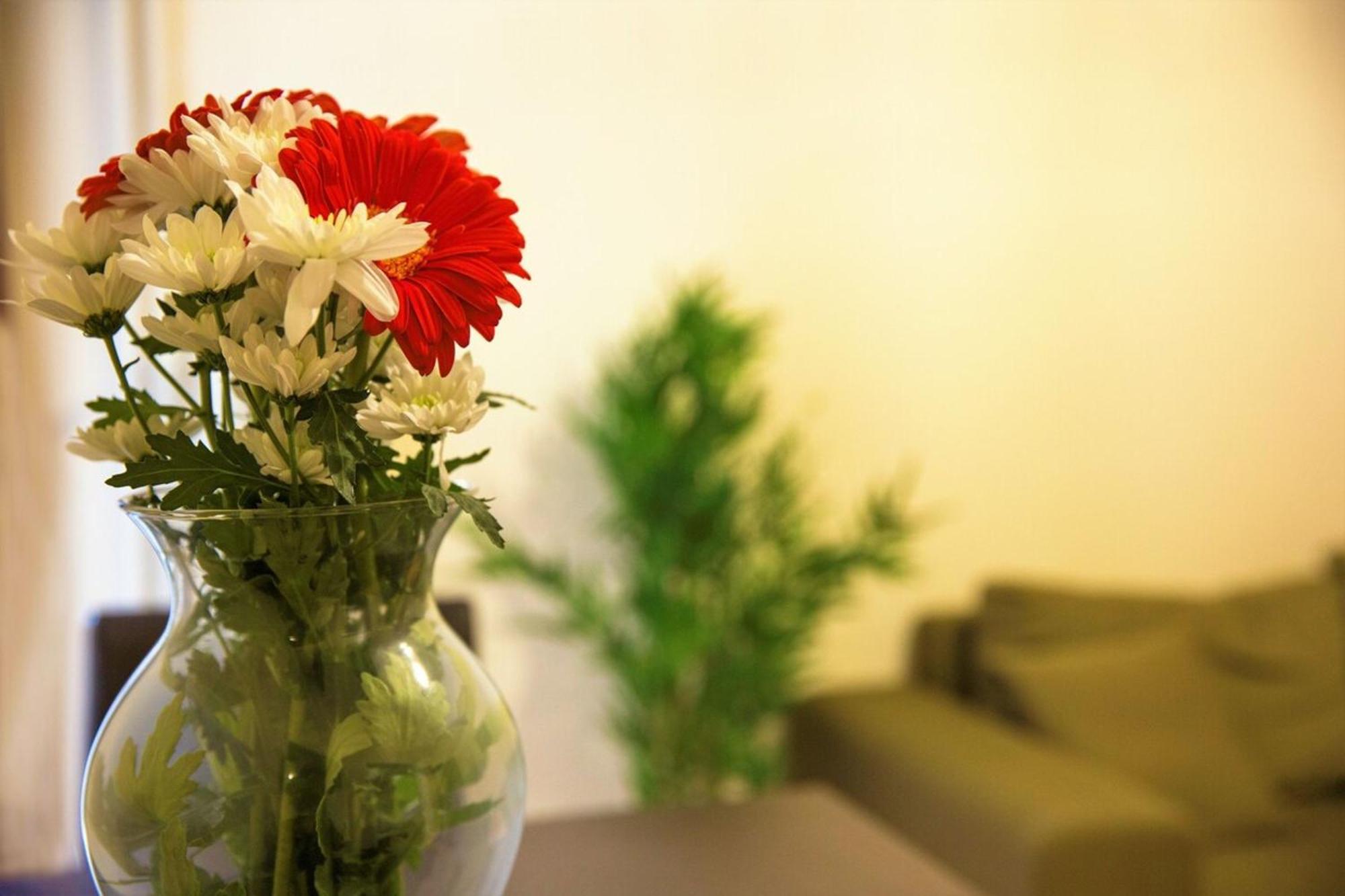 Peaceful Renovated Apartment Near Lycabettus Hill Αθήνα Εξωτερικό φωτογραφία